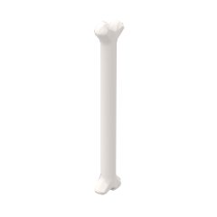 Animal Body Part, Dog Bone Long #92691 White